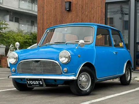 Rover Mini