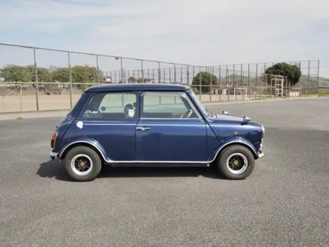 Rover Mini