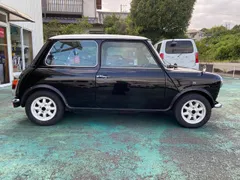 Rover Mini