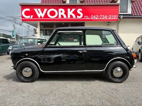 Rover Mini