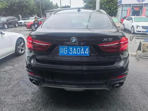 BMW X6