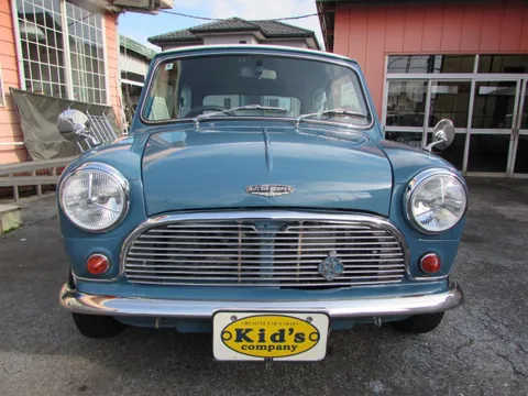 Rover Mini
