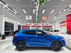 Wey VV5
