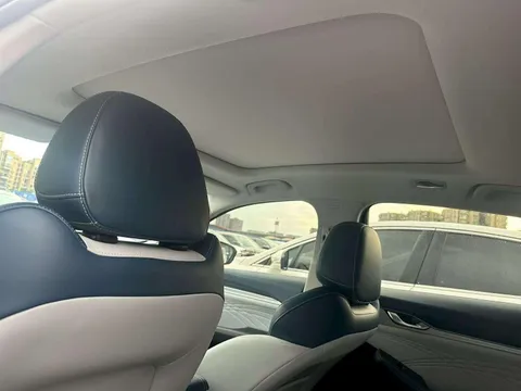 Geely Preface (Xingrui)