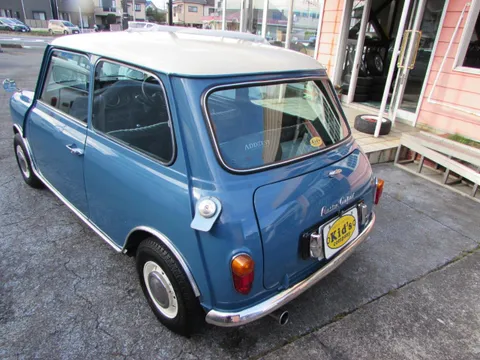 Rover Mini