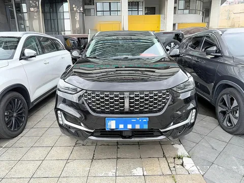 Wey VV6