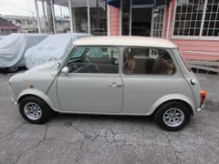 Rover Mini