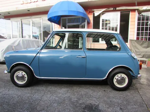 Rover Mini