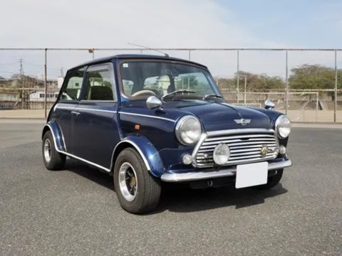Rover Mini