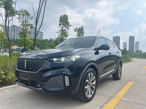 Wey VV6