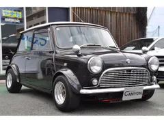 Rover Mini