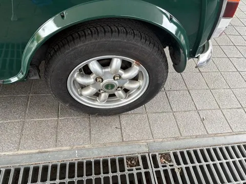 Rover Mini