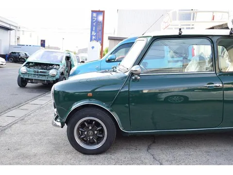Rover Mini