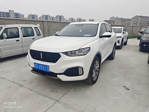 Wey VV6