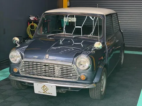 Rover Mini