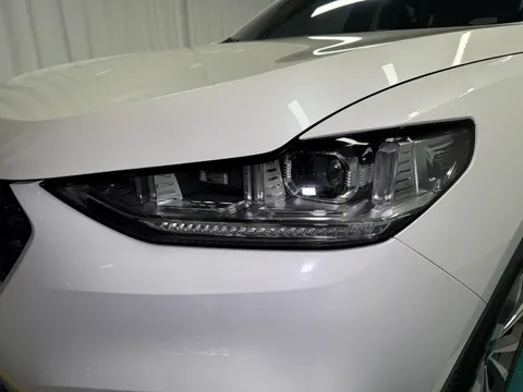 Wey VV6