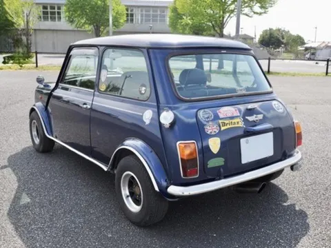 Rover Mini