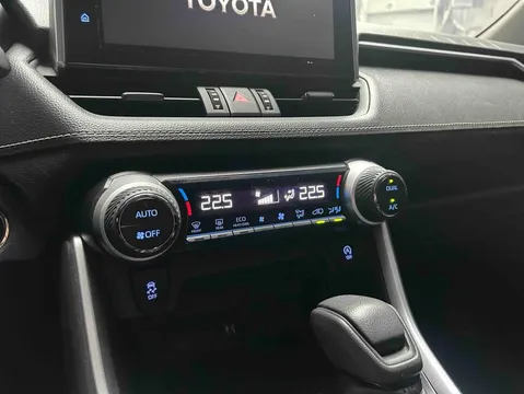 Toyota Wildlander