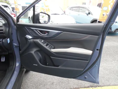 Subaru Levorg Layback