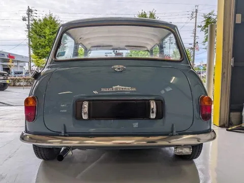 Rover Mini