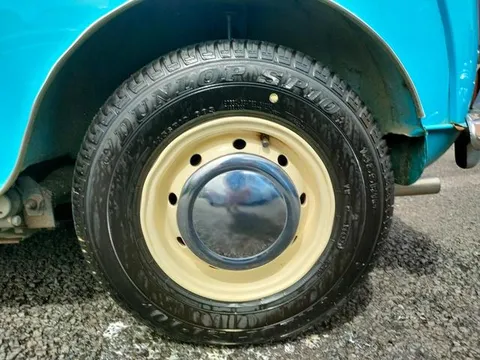 Rover Mini