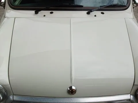 Rover Mini
