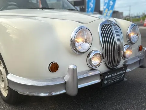 Mitsuoka Viewt