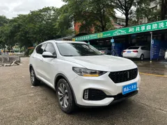 Wey VV6