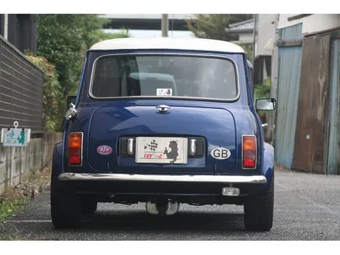 Rover Mini
