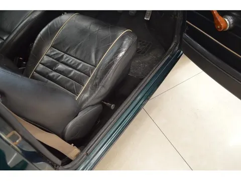 Rover Mini