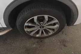 Wey VV6