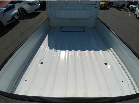 Suzuki Carry Track