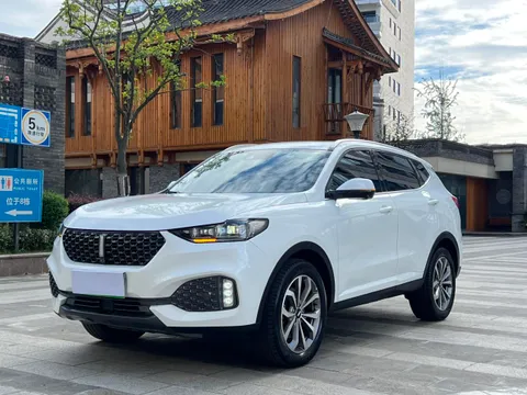 Wey VV6