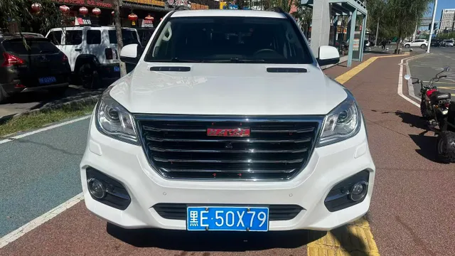 Haval H9