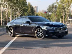 BMW 8-Series