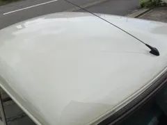 Rover Mini
