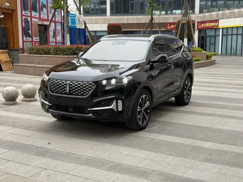 Wey VV6