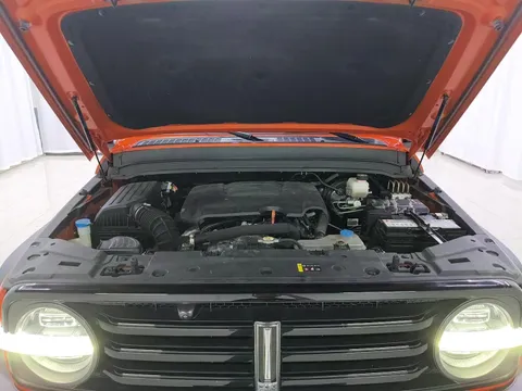 Tank 300