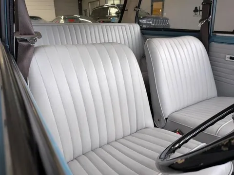 Rover Mini