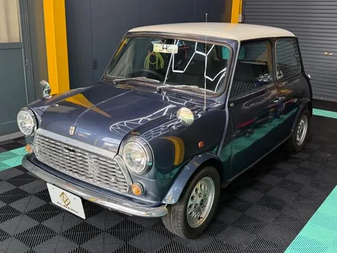 Rover Mini