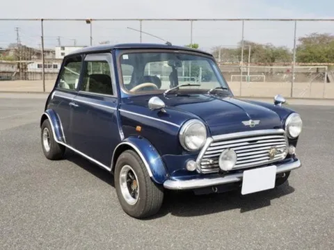 Rover Mini
