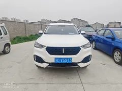 Wey VV6