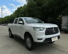 Great Wall Poer