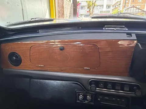Rover Mini
