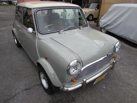 Rover Mini