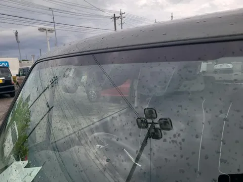 Mazda Flair Crossover