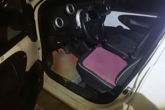 BYD F0