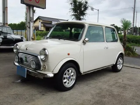 Rover Mini