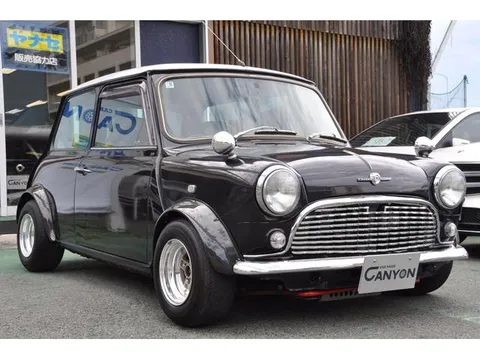 Rover Mini