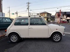 Rover Mini